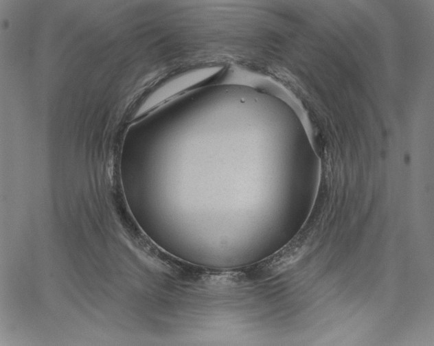 X0000067370072200604211553