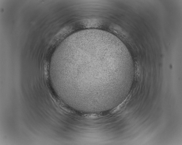 X0000067370074200604211553