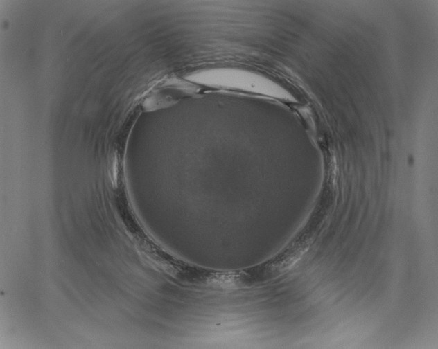 X0000067370076200604211553