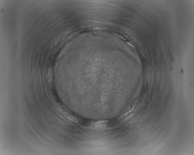 X0000067370078200604211553