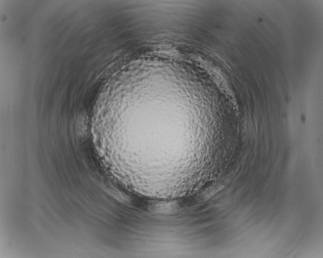 X0000067370081200604211553