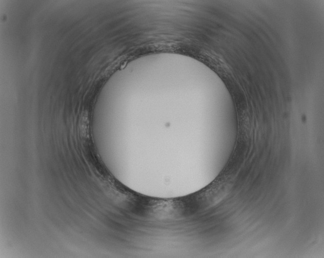 X0000067370083200604211553