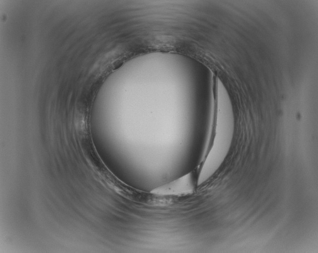 X0000067370084200604211553