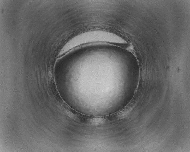X0000067370085200604211553