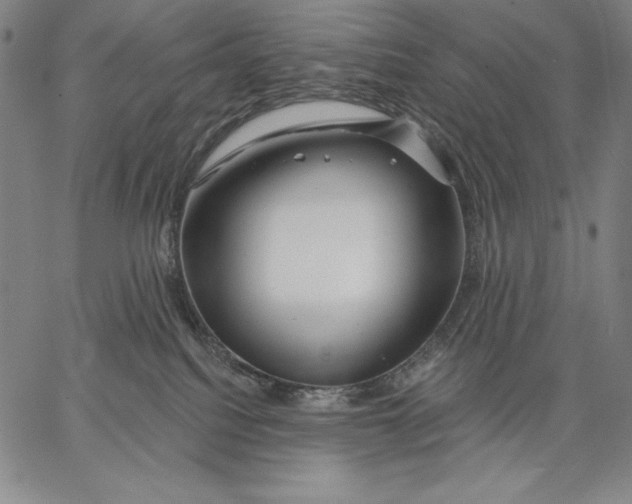 X0000067370088200604211553
