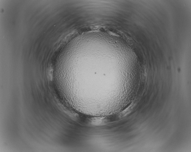 X0000067370090200604211553