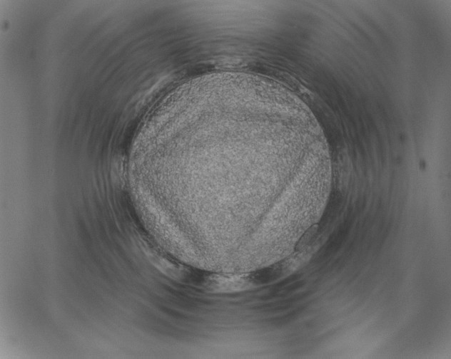 X0000067370093200604211553