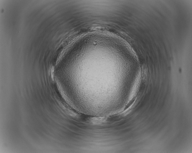 X0000067370094200604211553
