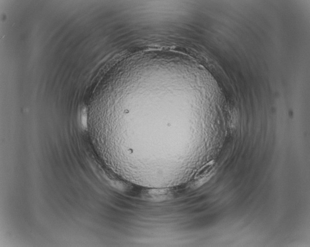 X0000067370095200604211553