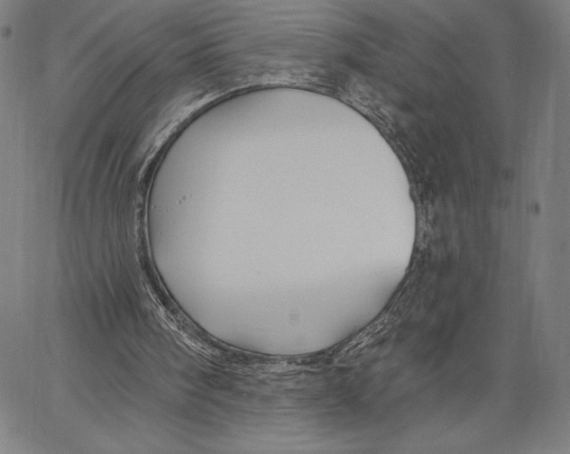 X0000067370098200604211552
