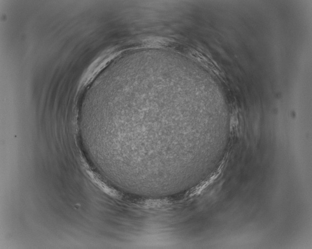 X0000067370101200604211552
