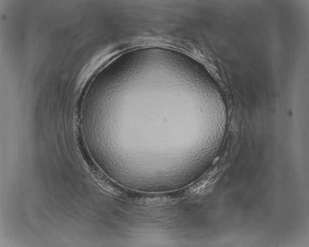 X0000067370103200604211552