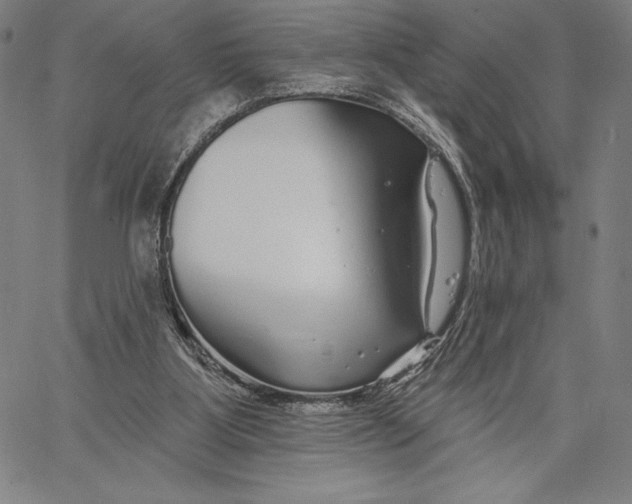 X0000067370107200604211552