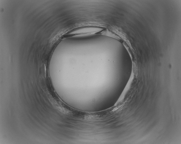 X0000067370109200604211552