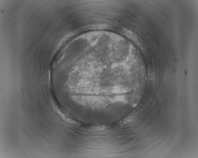 X0000067370110200604211552
