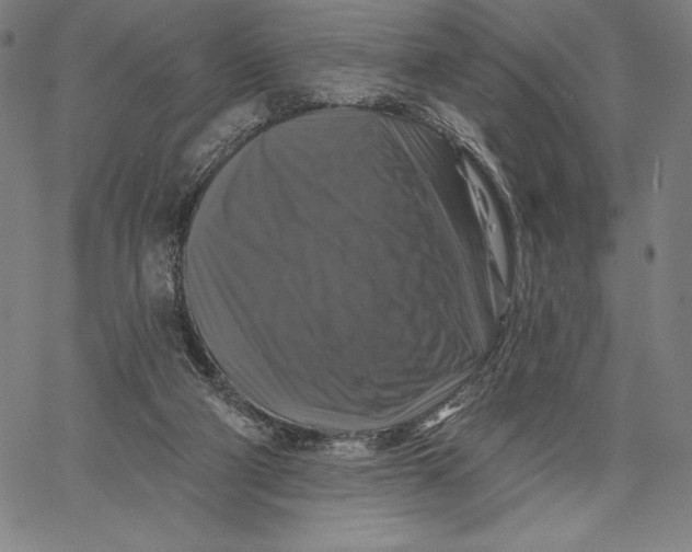 X0000067370114200604211552