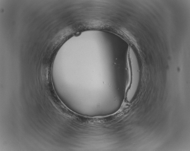 X0000067370115200604211552