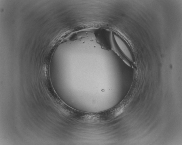 X0000067370117200604211552