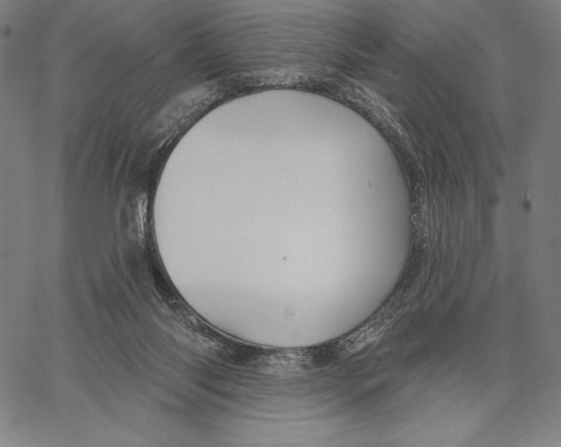 X0000067370118200604211552