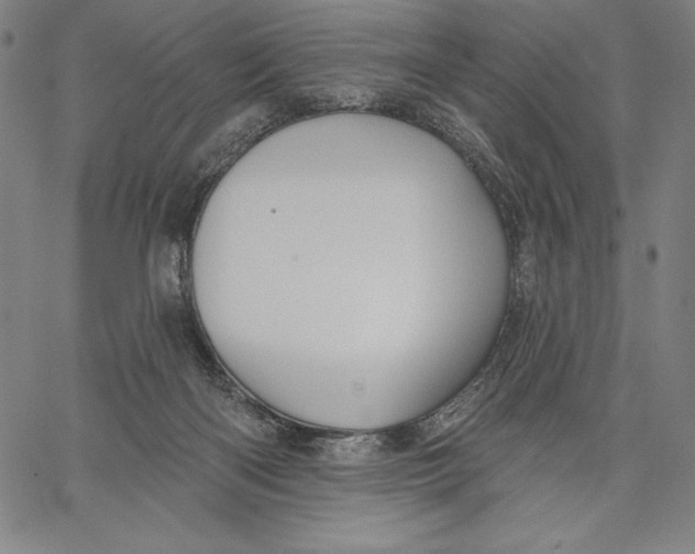 X0000067370122200604211552