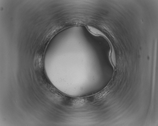 X0000067370123200604211552