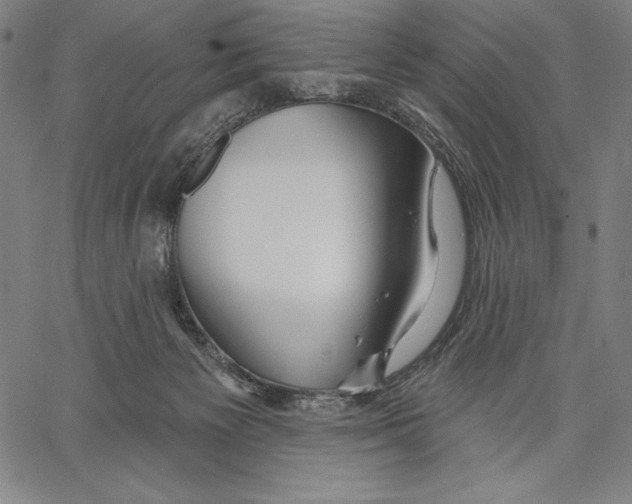 X0000067370125200604211552