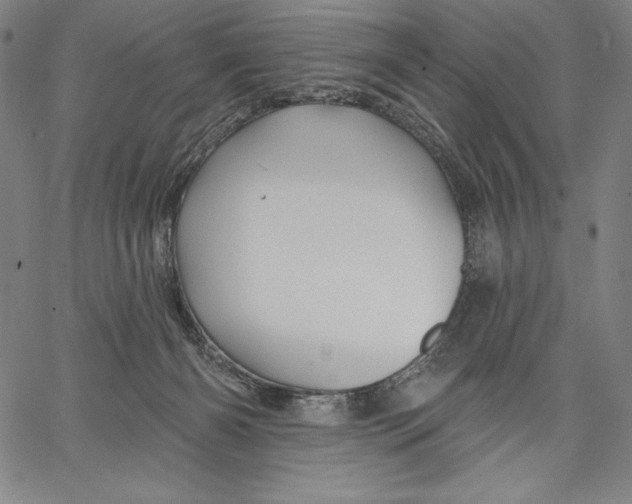 X0000067370126200604211552