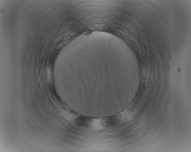 X0000067370130200604211552