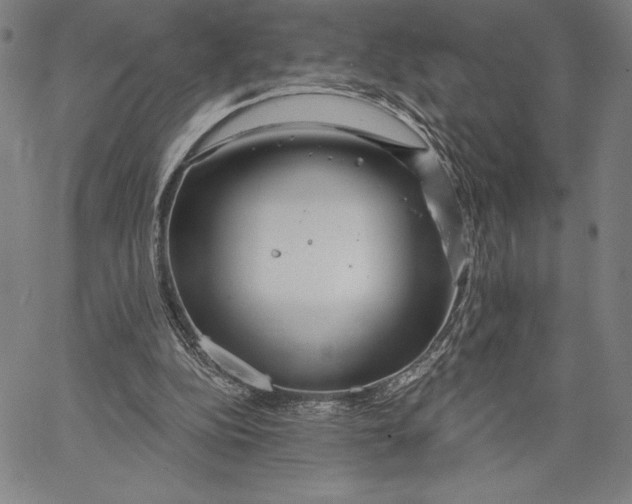 X0000067370152200604211551