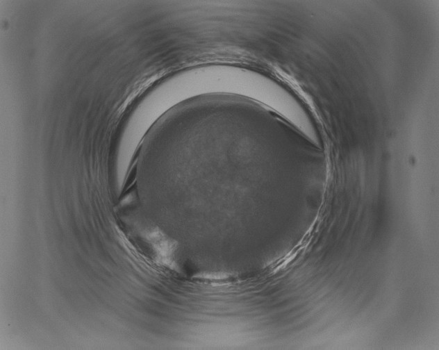 X0000067370154200604211551
