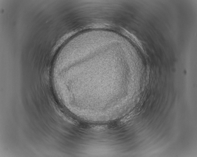 X0000067370155200604211551