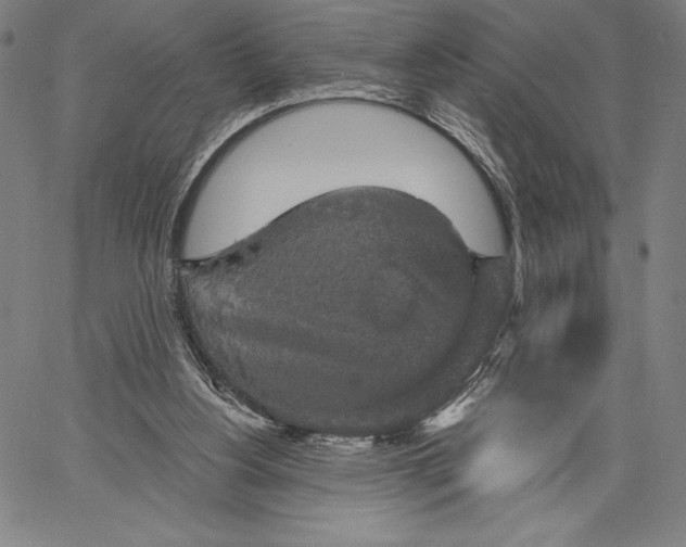 X0000067370156200604211551
