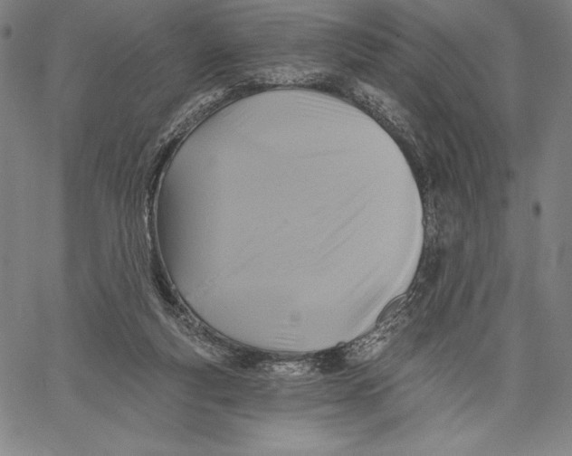 X0000067370163200604211551
