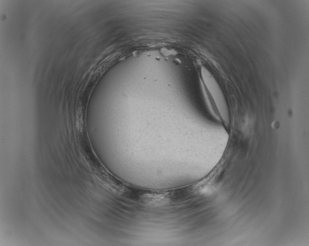 X0000067370170200604211551