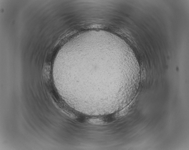X0000067370171200604211551