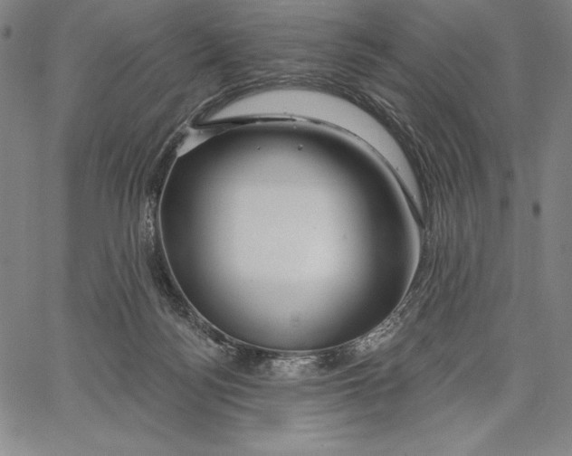 X0000067370172200604211551