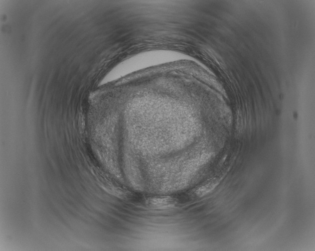 X0000067370173200604211551