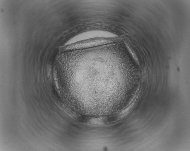 X0000067370178200604211551