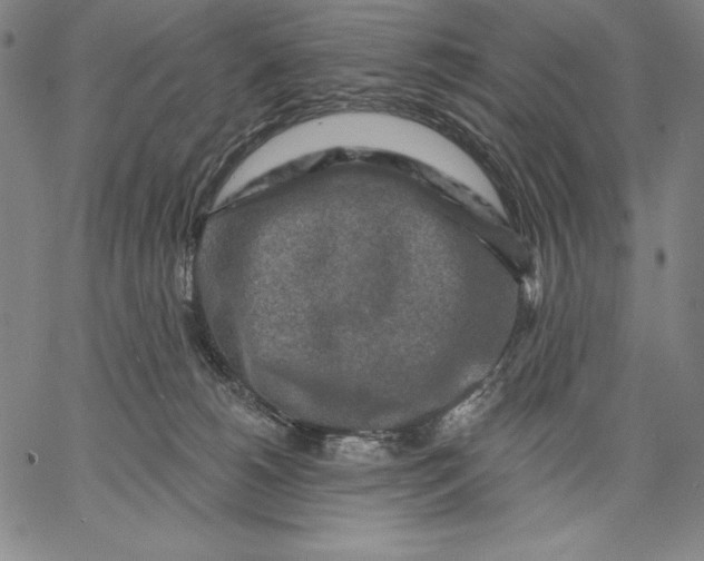 X0000067370180200604211551