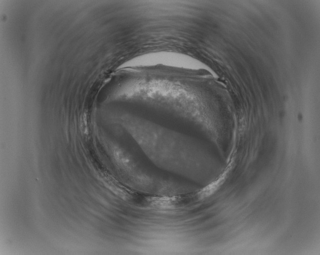 X0000067370182200604211551