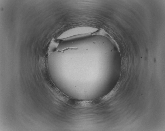 X0000067370184200604211551