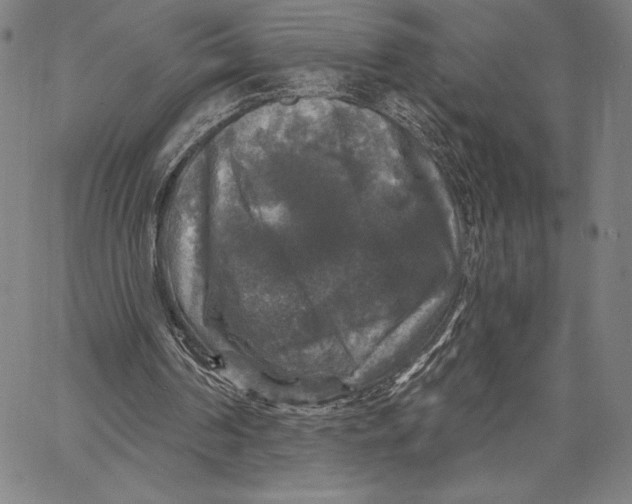 X0000067370194200604211551