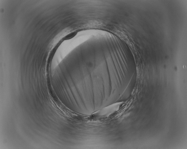 X0000067370196200604211551