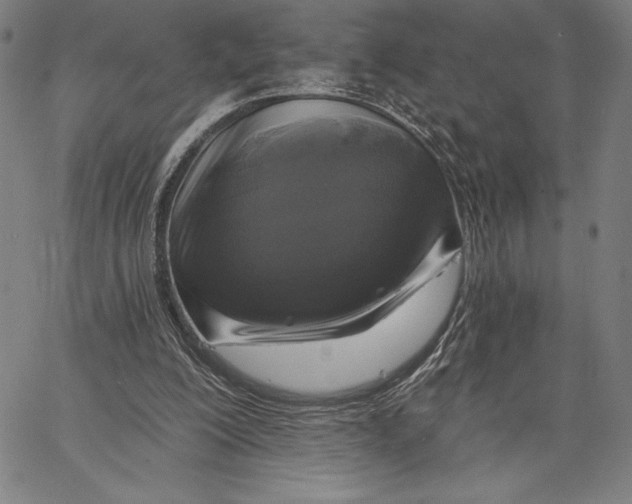 X0000067370200200604211551