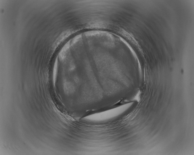 X0000067370204200604211551