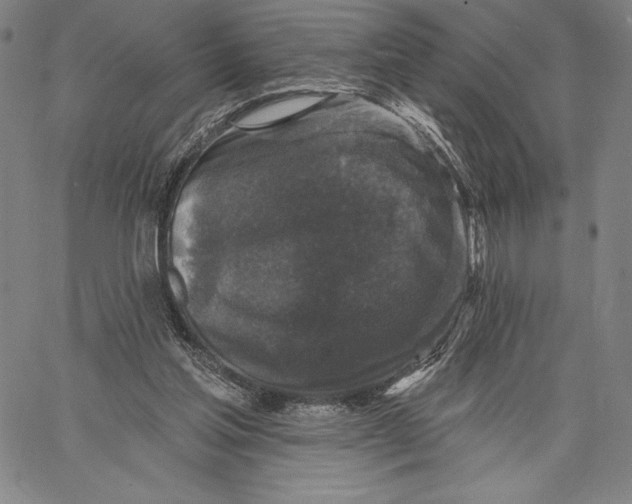 X0000067370205200604211551