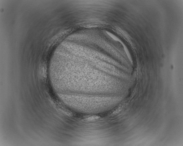 X0000067370210200604211550
