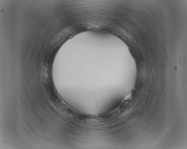 X0000067370215200604211550