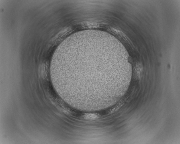 X0000067370218200604211550