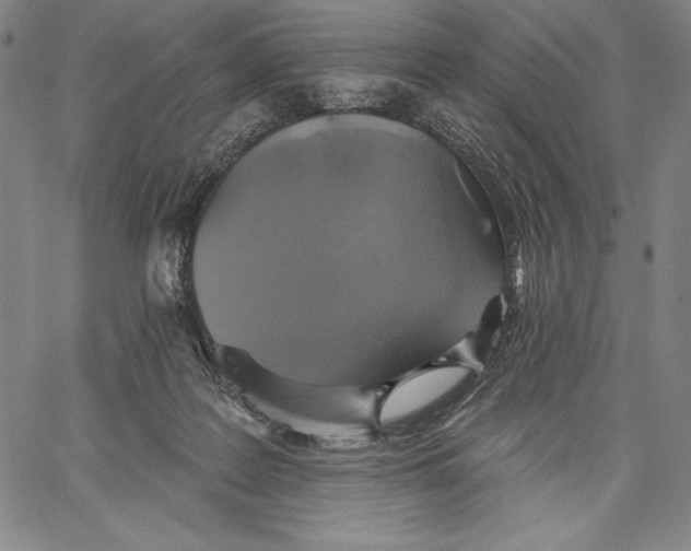 X0000067370219200604211550